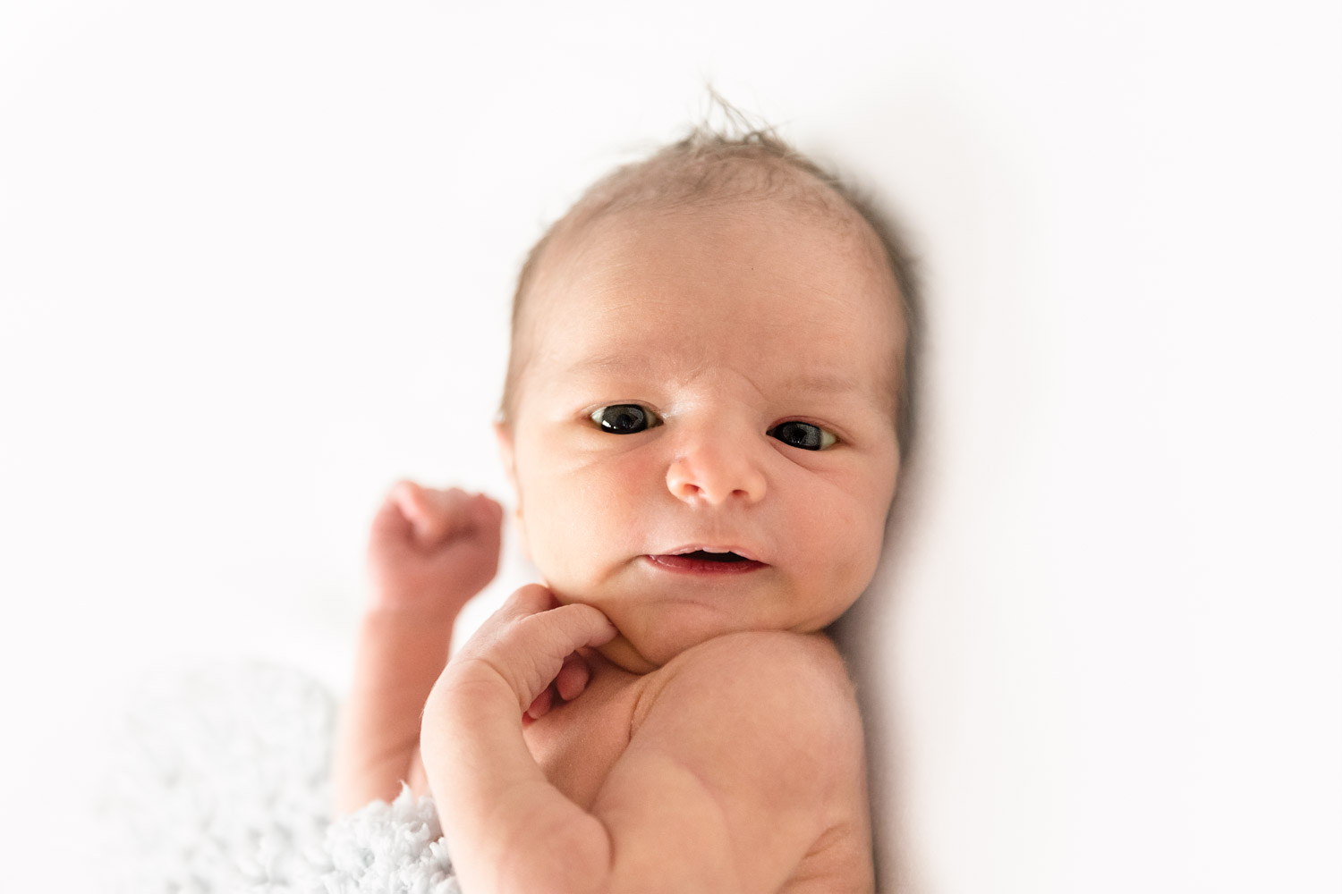 Portrait of a newborn, eyes open, Andrea Schenke Photography, Wittlich