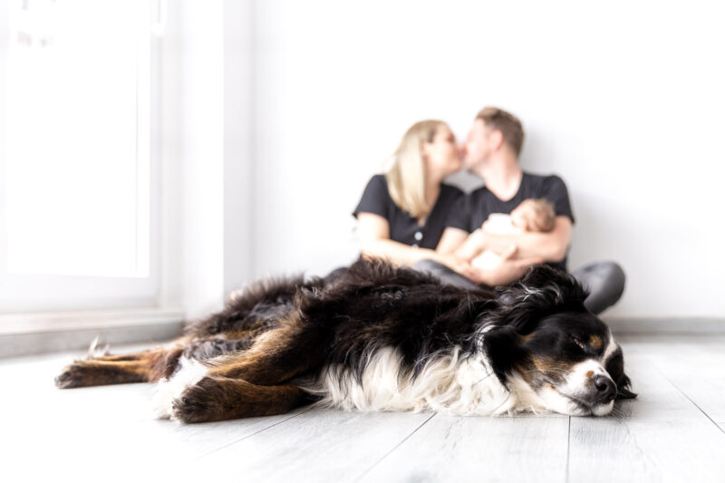 Newborn Session, Homestory, Andrea Schenke Photography, Newborn Fotografin Wittlich
