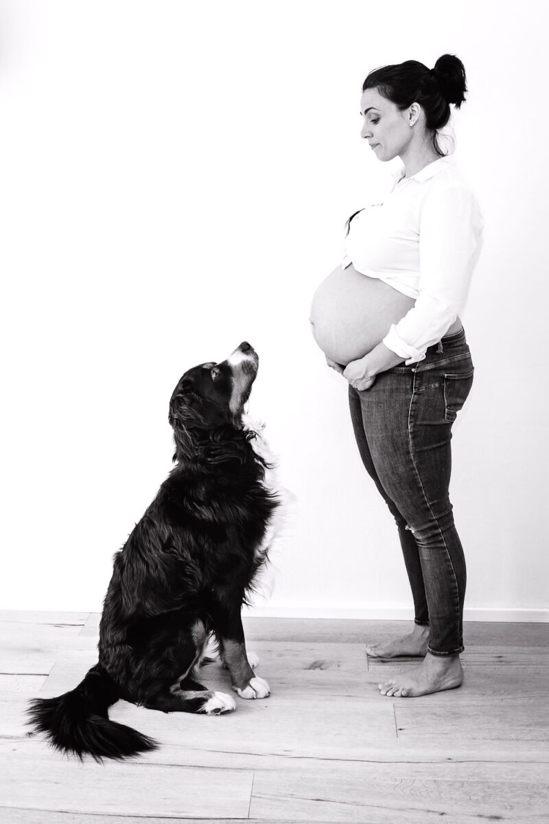 Babybauch, Schwangerschafts Fotosession, Andrea Schenke Photography, Fotografin Wittlich