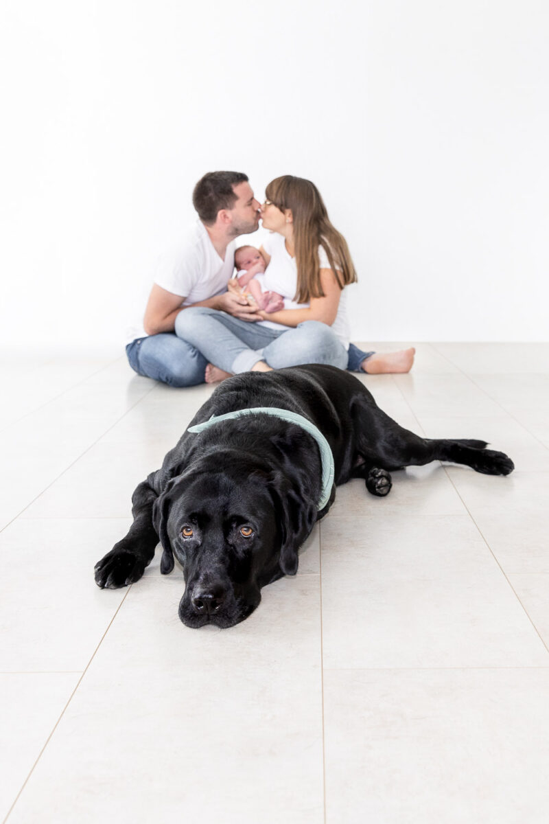 Newborn Session, Homestory, Andrea Schenke Photography, Newborn Fotografin Wittlich