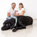 Newborn Session mit Hund, Homestory, Andrea Schenke Photography, Fotografin Wittlich