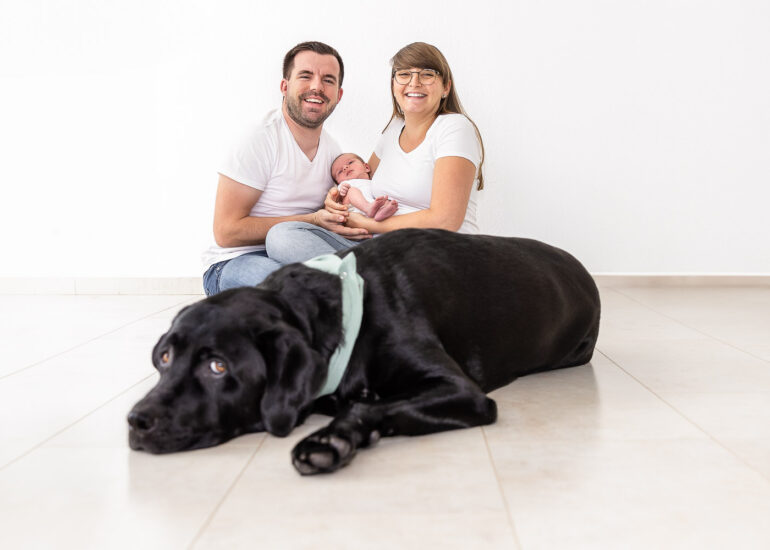 Newborn Session mit Hund, Homestory, Andrea Schenke Photography, Fotografin Wittlich